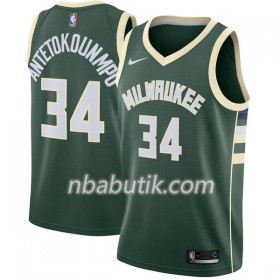 NBA Mænd Trøje Milwaukee Bucks Giannis Antetokounm 34 Nike 2017-18 Grøn Swingman